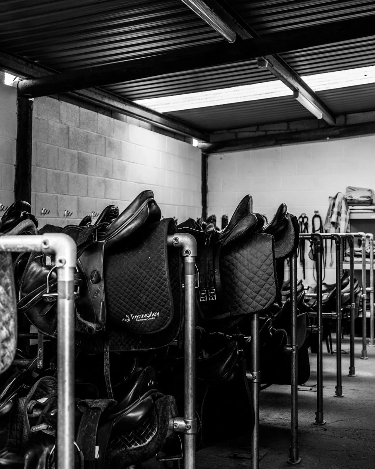 Rows of saddles on racks in the saddle room at Trentvalley Equestrian Centre