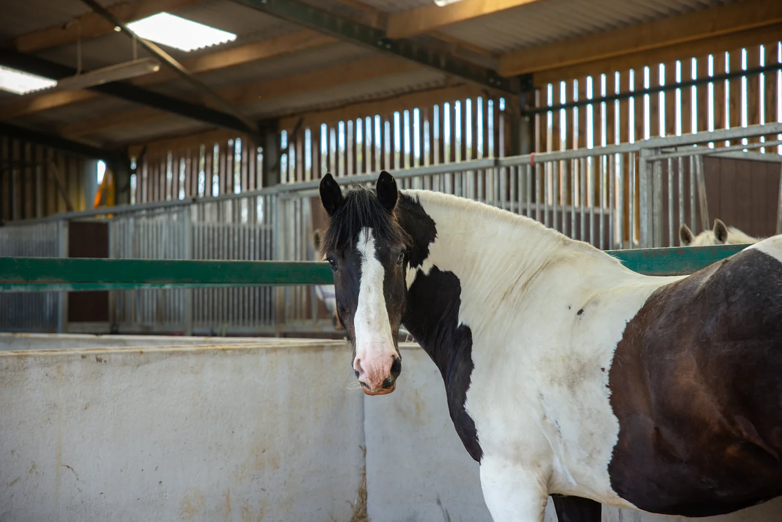 Rider and horse at Trentvalley Equestrian Centre